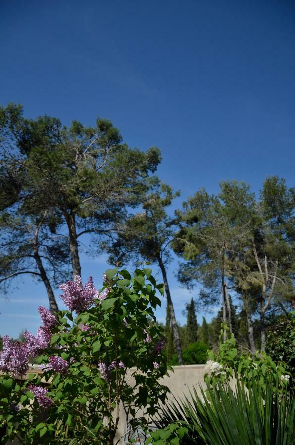 Mas Du Puech Clapas Βίλα Assas Εξωτερικό φωτογραφία