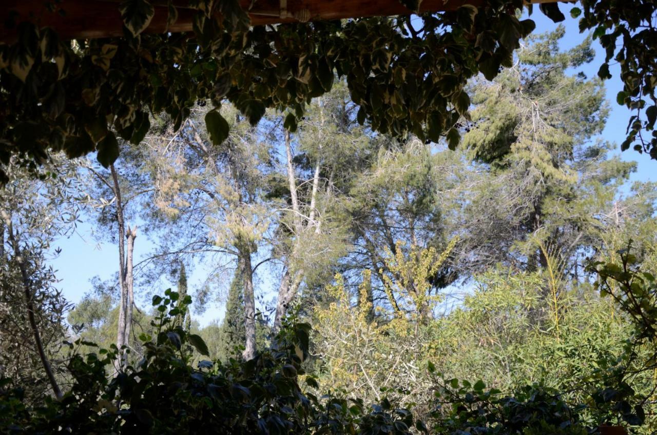 Mas Du Puech Clapas Βίλα Assas Εξωτερικό φωτογραφία